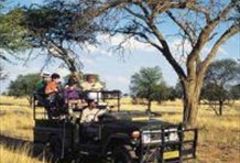 Full Day Pilanesberg Game Reserve